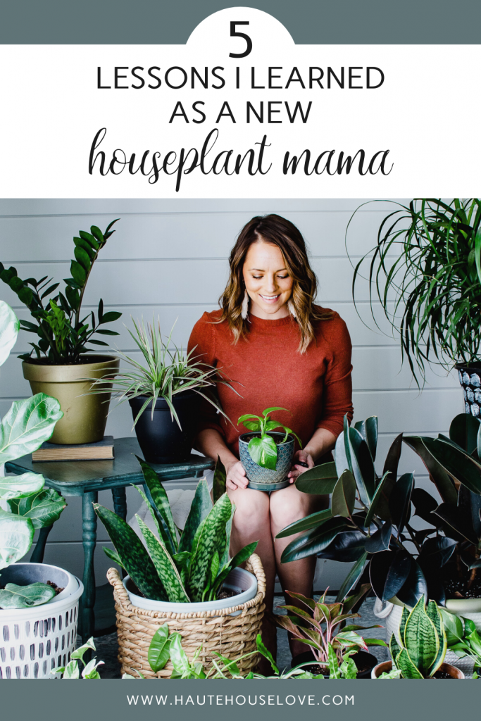 5 Lessons I Learned As A New Houseplant Mom