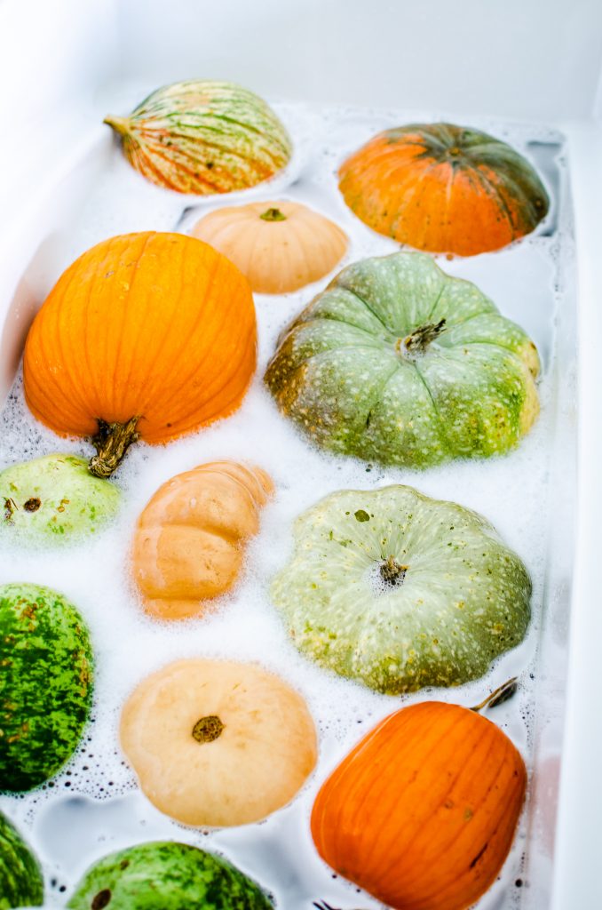 pumpkins in a bubble bath