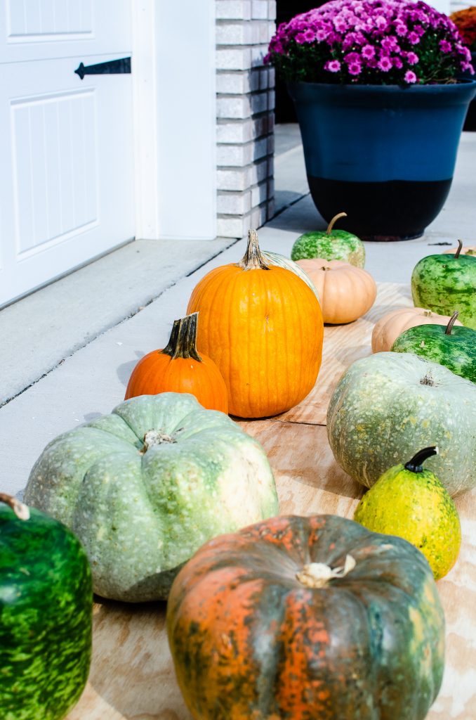 pumpkins on driveway