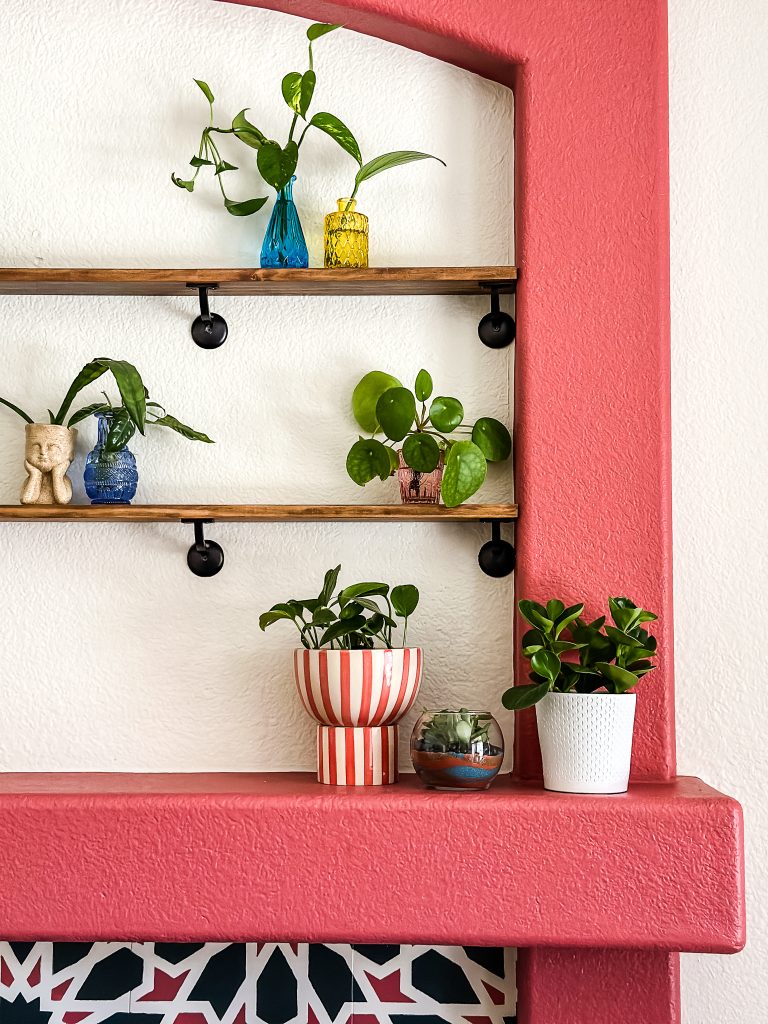 baby plants on a pink fireplace mantle with diy indoor plant shelves above.